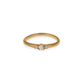 Delicate Ring
