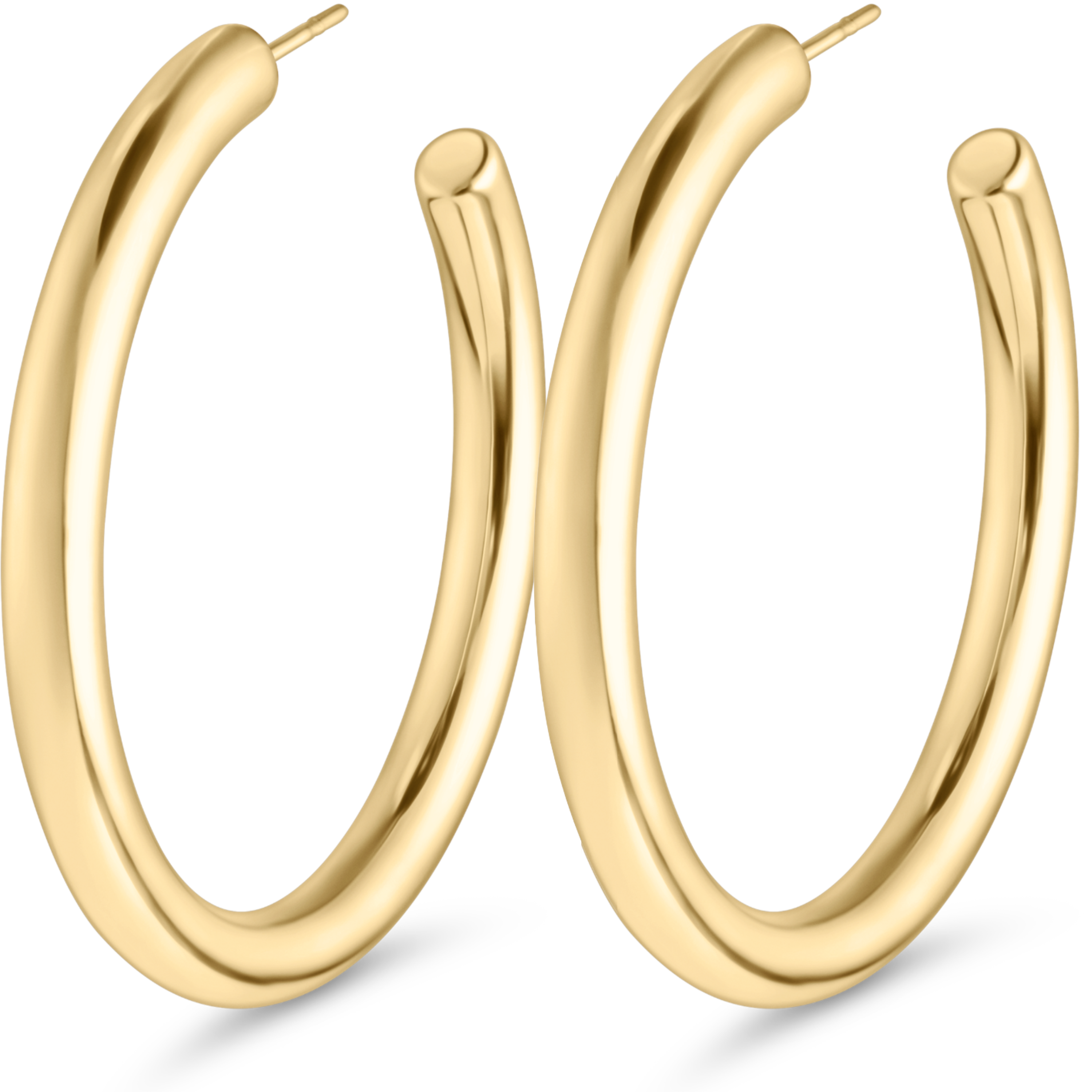 Globe Earrings