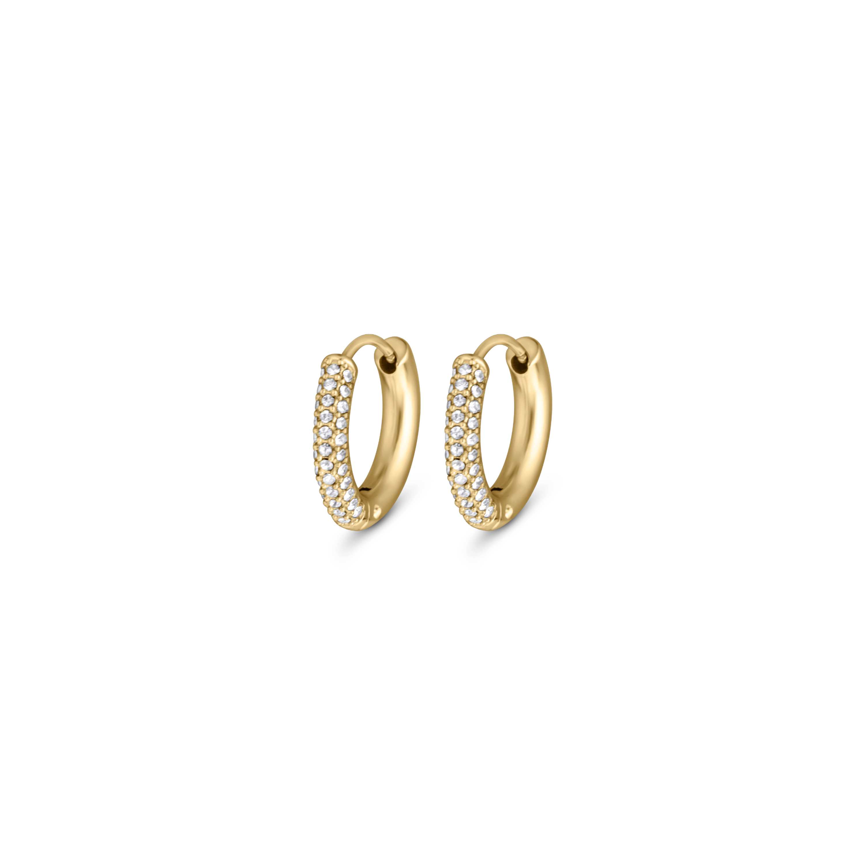 Luna Earrings Large