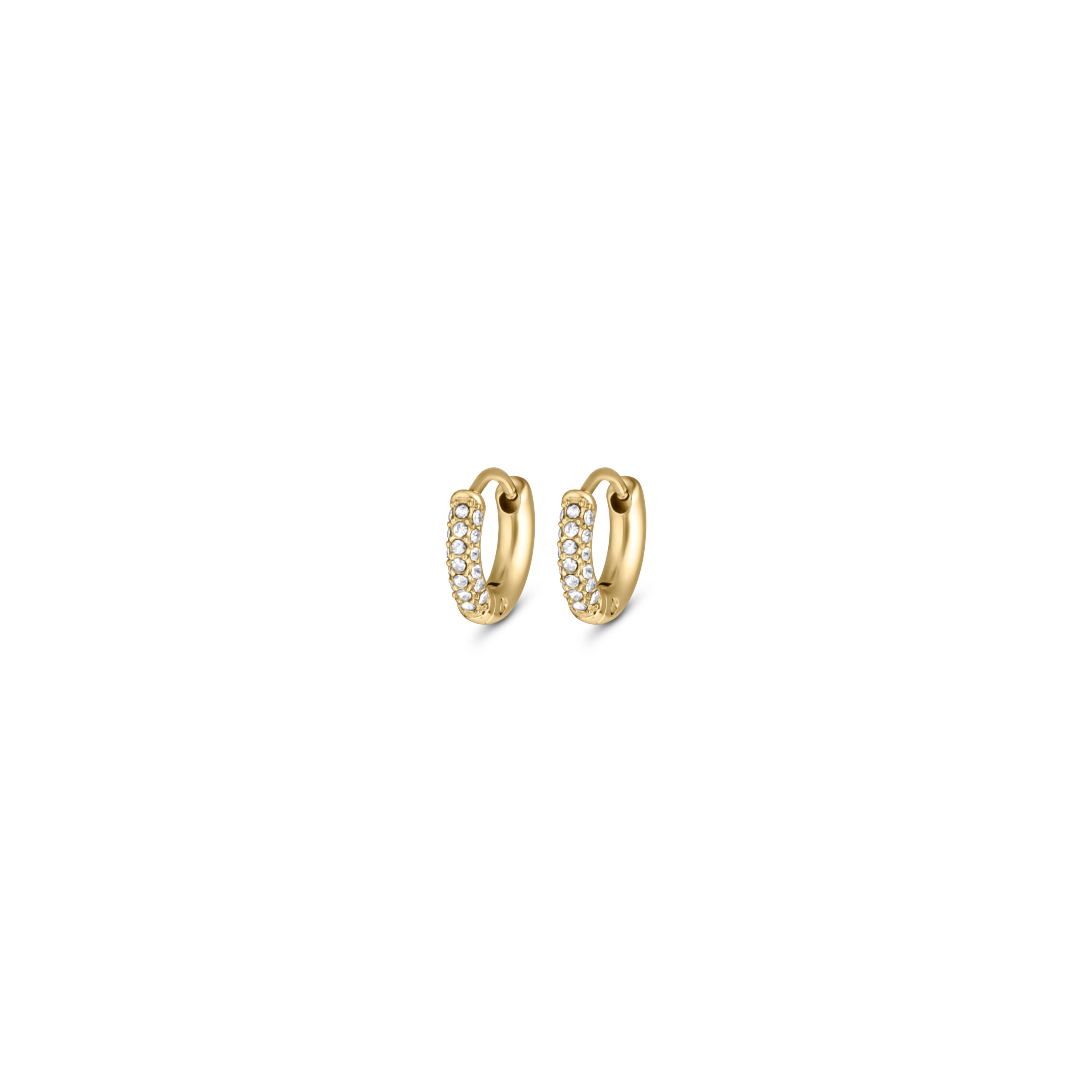 Luna Earrings Small