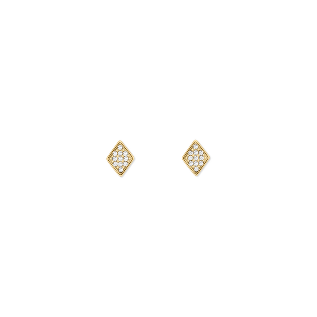 Power Earrings