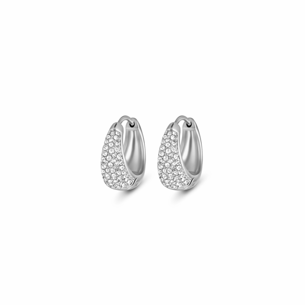 Shimmer Earrings Medium