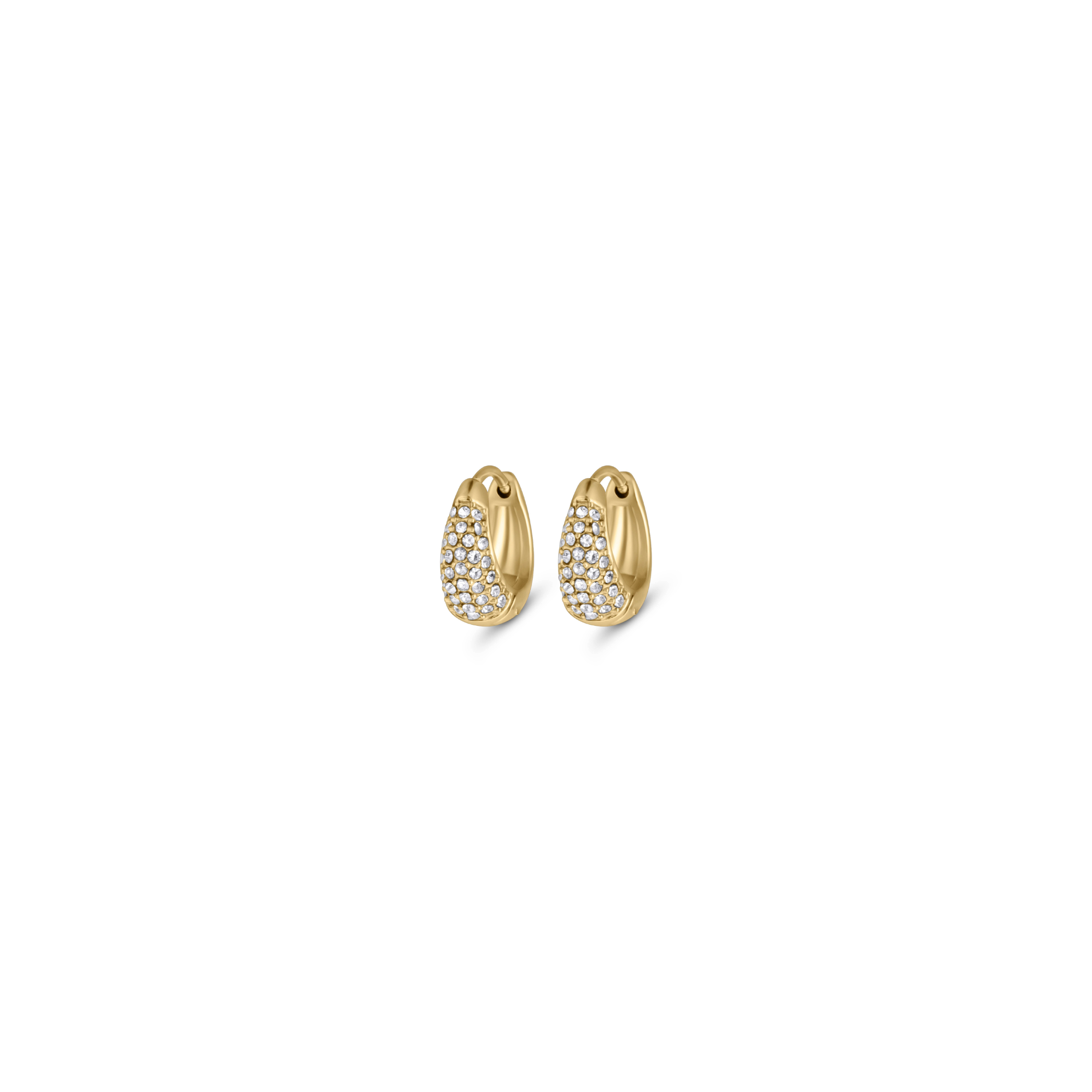Shimmer Earrings Small