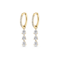 Winning Earrings